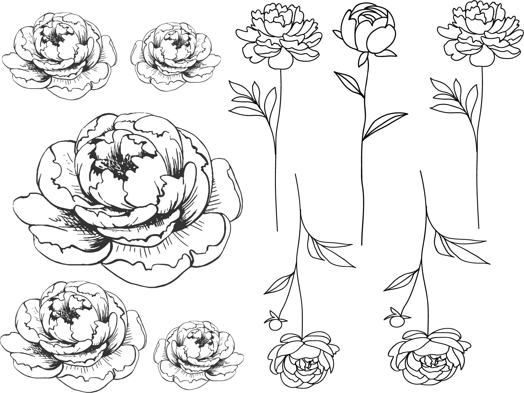 WYS Large Shoe Tattoo - Floral - Wear Your Sole